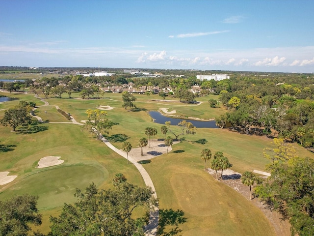 view of bird's eye view