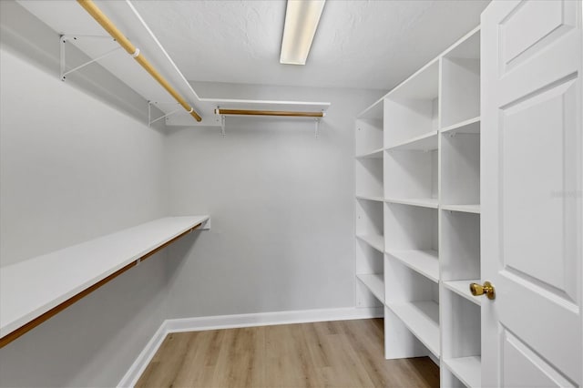 walk in closet with light hardwood / wood-style flooring