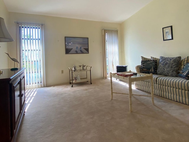 living room featuring light carpet