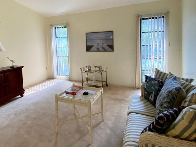 carpeted living room with plenty of natural light