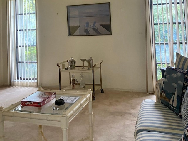 interior space featuring light carpet and plenty of natural light