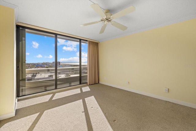 carpeted spare room with ceiling fan, a wall of windows, and crown molding