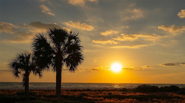 nature at dusk with a water view