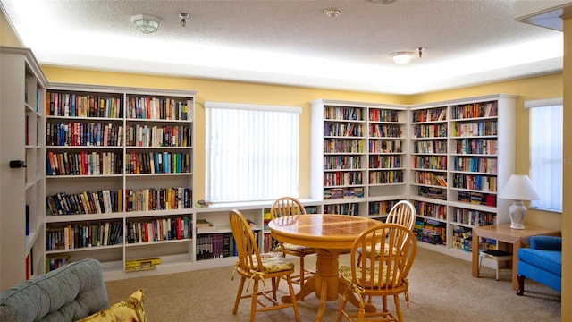 sitting room with carpet floors and a textured ceiling