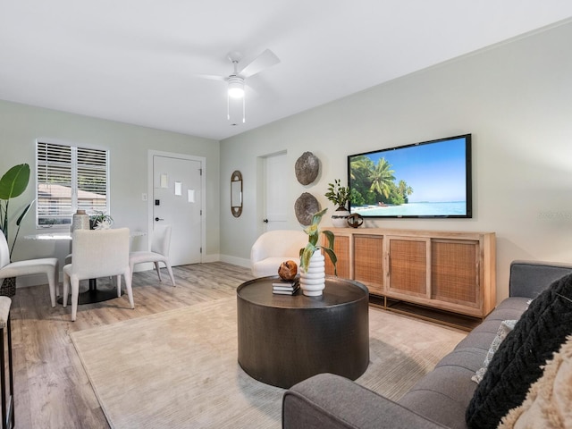 living room with ceiling fan and light wood-type flooring