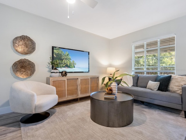 living room with ceiling fan and wood-type flooring