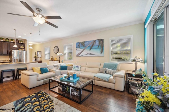 living room with crown molding, dark wood-type flooring, and ceiling fan