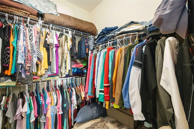 view of walk in closet