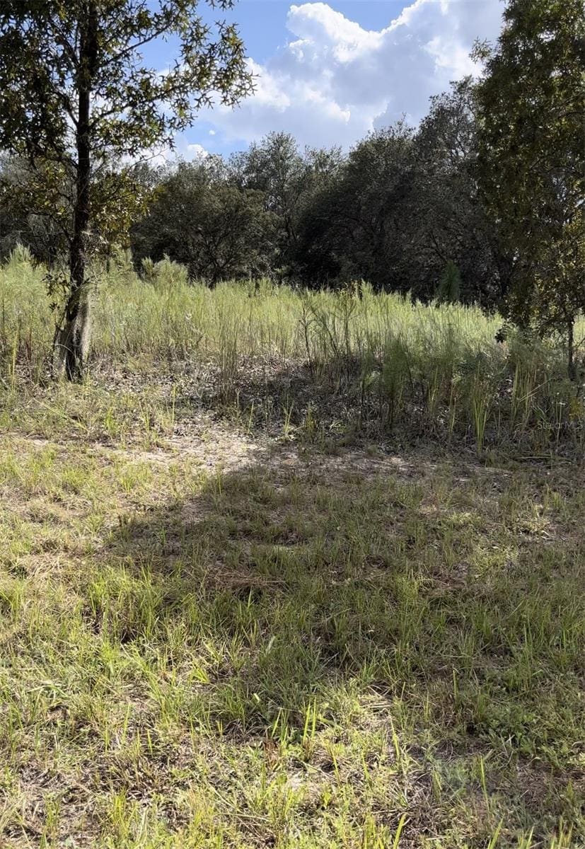 1656 W Hampshire Blvd, Citrus Springs, FL 34434 - photo 1