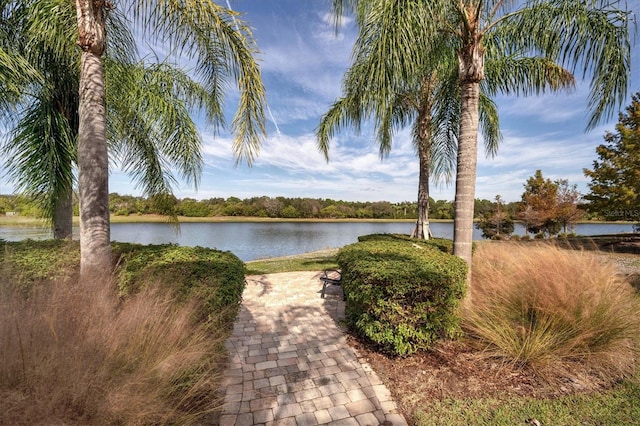 property view of water