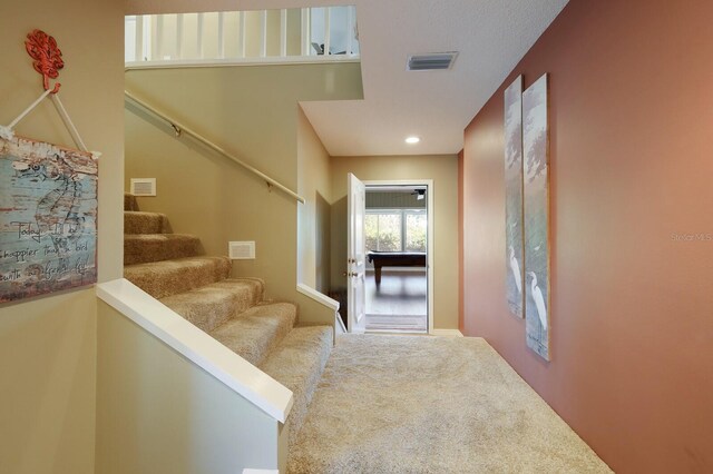 110 Hammock Rd, Anna Maria, FL 34216 - photo 6