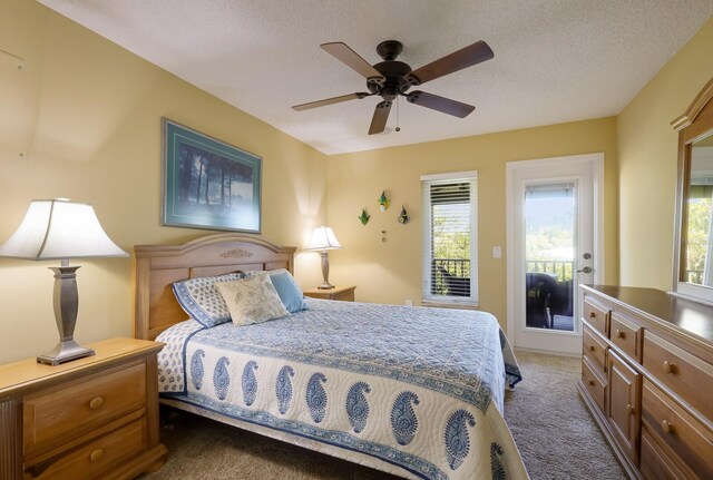110 Hammock Rd, Anna Maria, FL 34216 - photo 26