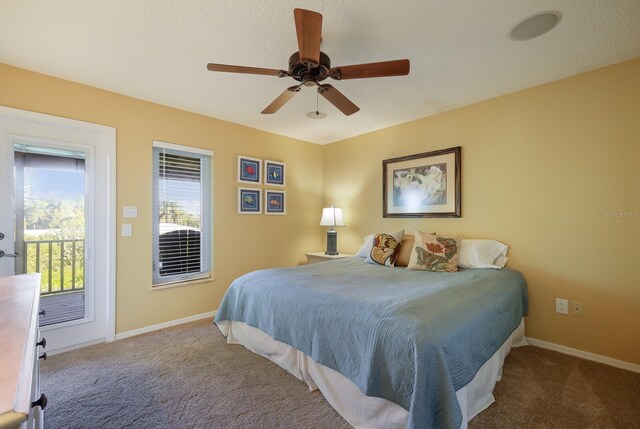 110 Hammock Rd, Anna Maria, FL 34216 - photo 31