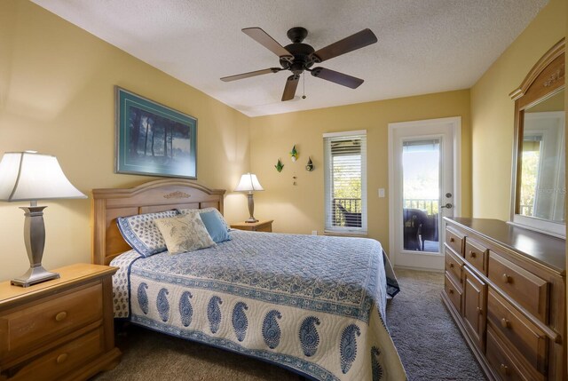 110 Hammock Rd, Anna Maria, FL 34216 - photo 33