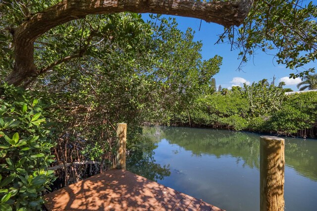 110 Hammock Rd, Anna Maria, FL 34216 - photo 44