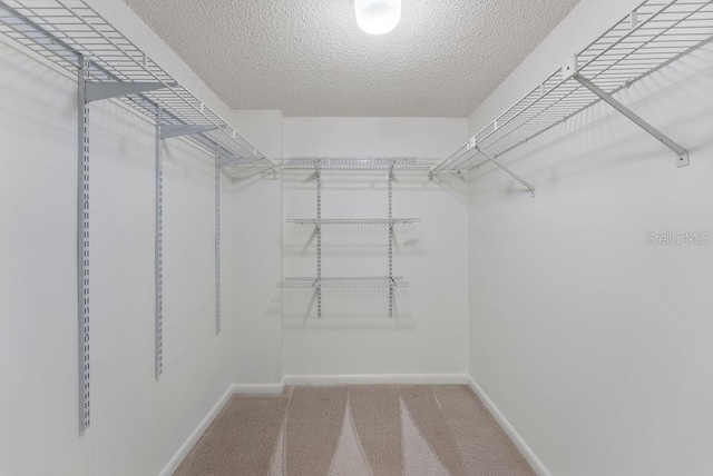 walk in closet with carpet