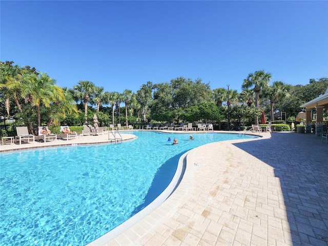 view of pool with a patio