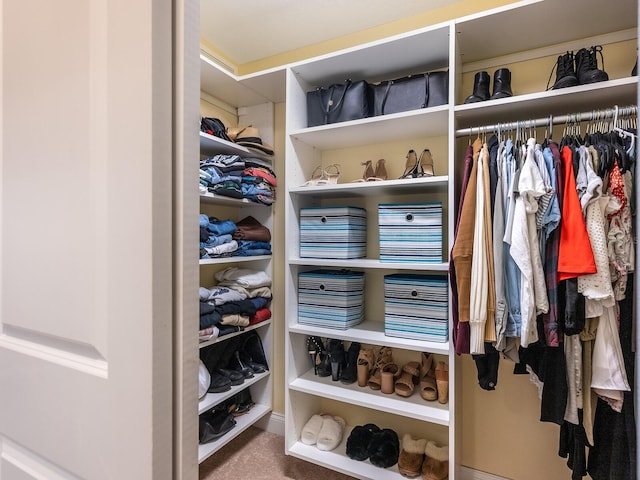 walk in closet featuring carpet floors