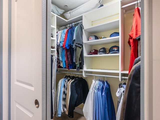 spacious closet featuring carpet