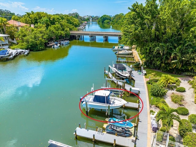 bird's eye view with a water view