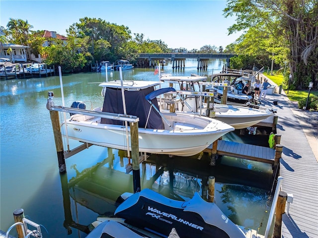 dock area with a water view