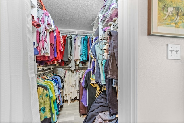 walk in closet with light hardwood / wood-style flooring