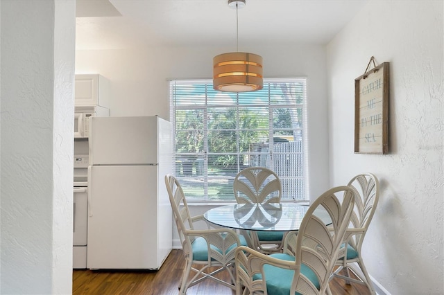 dining room featuring a wealth of natural light and hardwood / wood-style flooring