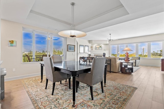 dining area featuring ceiling fan, a healthy amount of sunlight, light wood-type flooring, and a tray ceiling