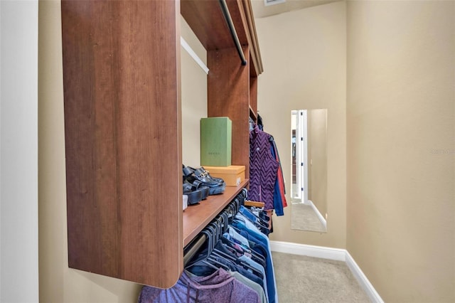 spacious closet with light carpet