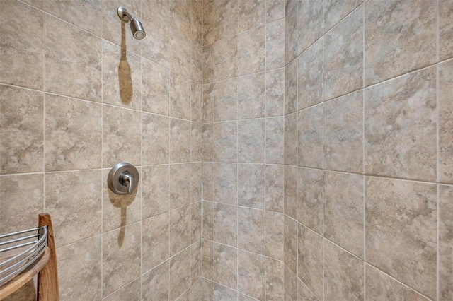 room details with tiled shower