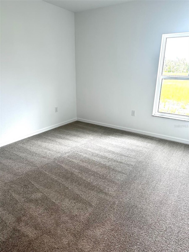 unfurnished room featuring carpet floors