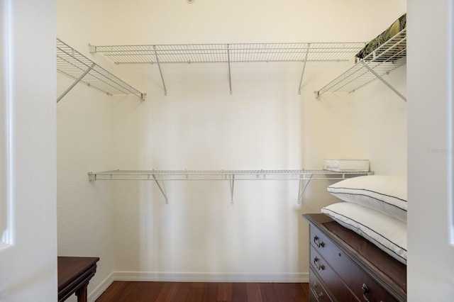 spacious closet featuring dark wood-type flooring