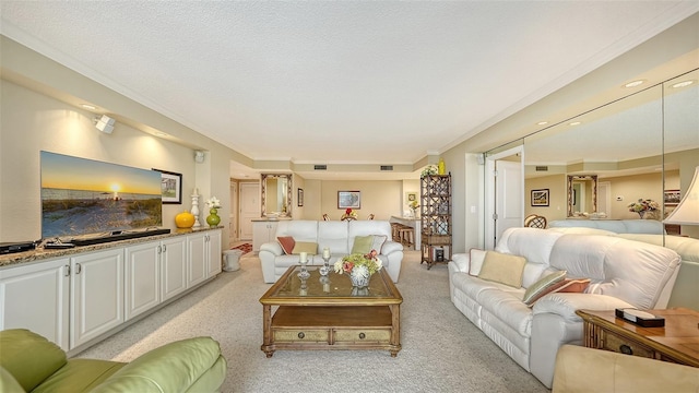 carpeted living room with crown molding and a textured ceiling