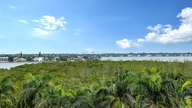 view of local wilderness with a water view