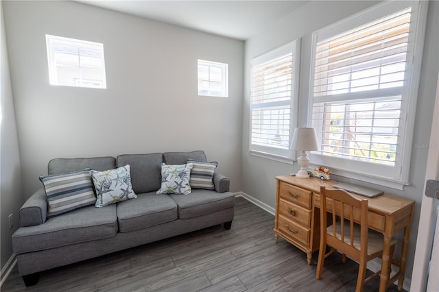 living room with a wealth of natural light and hardwood / wood-style flooring