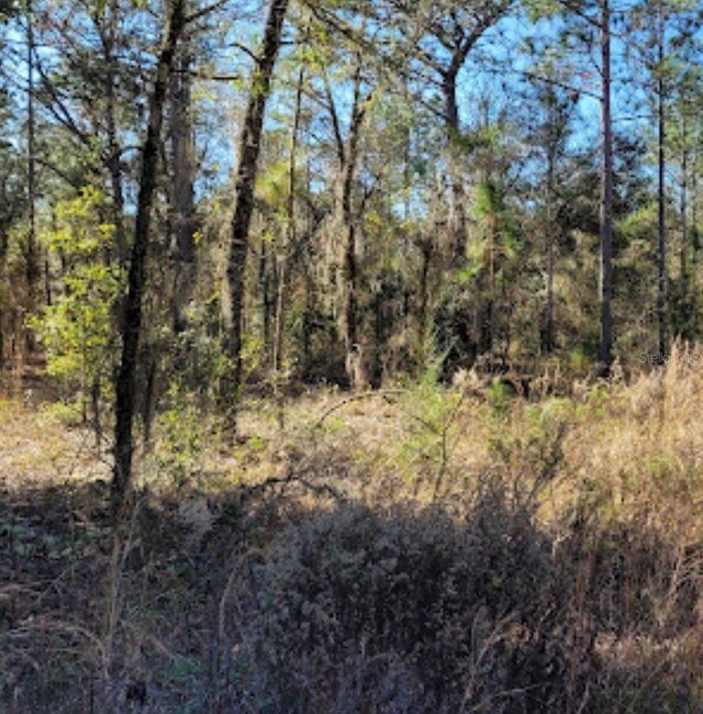 11th Pl, Williston FL, 32696 land for sale