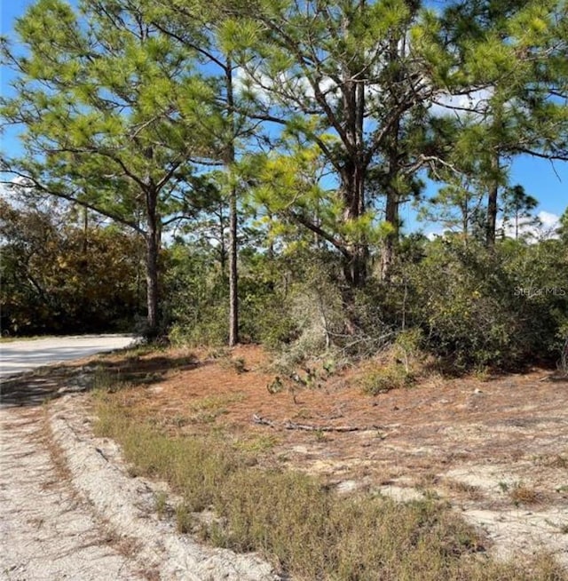 300 Cartier Ave, Lake Placid FL, 33852 land for sale