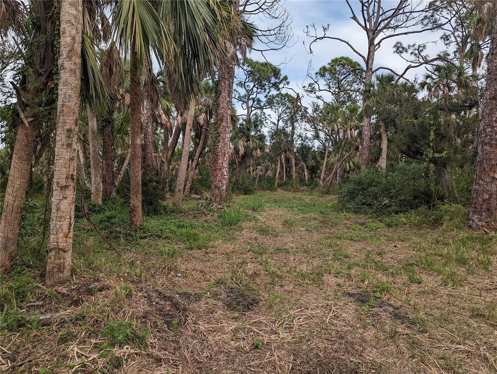 6350 Montauk Ter, Englewood, FL 34224 - photo 3