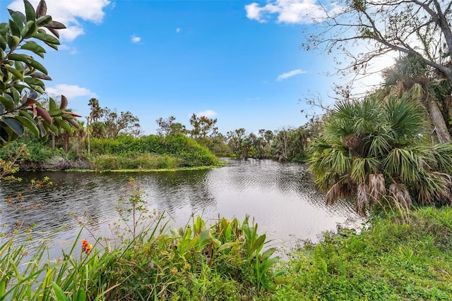 property view of water