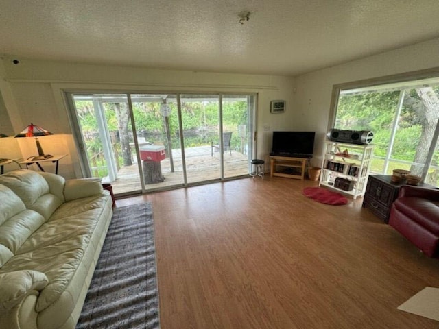 living room with a wealth of natural light, a textured ceiling, and hardwood / wood-style floors