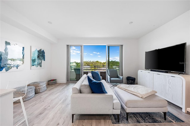 living room featuring light hardwood / wood-style floors