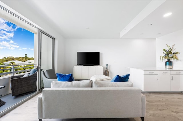 living room with light hardwood / wood-style flooring