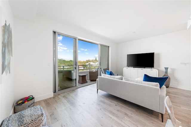 living room with light hardwood / wood-style flooring