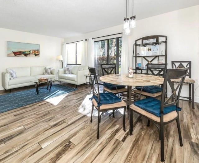 dining room with wood-type flooring