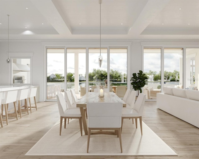 dining space with a healthy amount of sunlight, light hardwood / wood-style flooring, and french doors