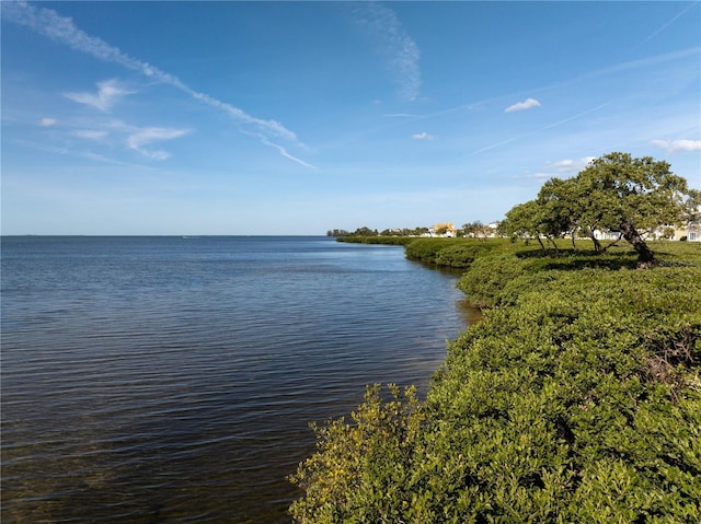 property view of water