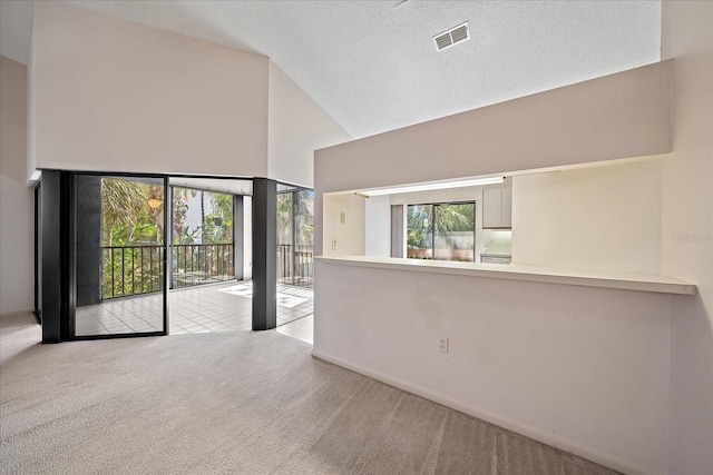 1654 Starling Dr Unit 201, Sarasota, FL 34231 - unfurnished room featuring a textured ceiling, high vaulted ceiling, carpet flooring, and visible vents