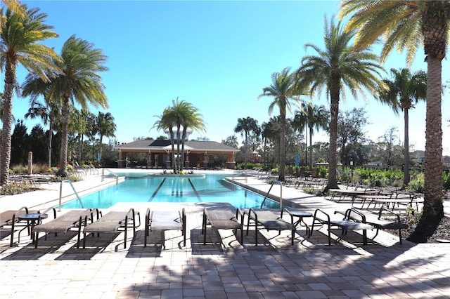 view of pool with a patio area