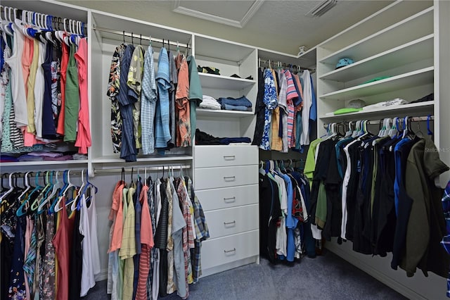 spacious closet with carpet