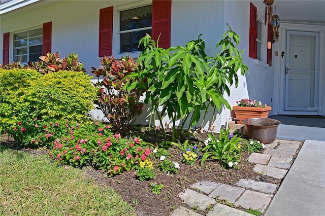 property entrance featuring covered porch and stucco siding